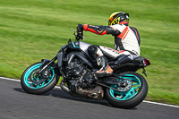 Advanced Group Silver_Grey Bikes